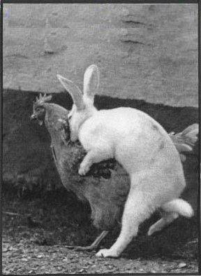 How easter eggs are made