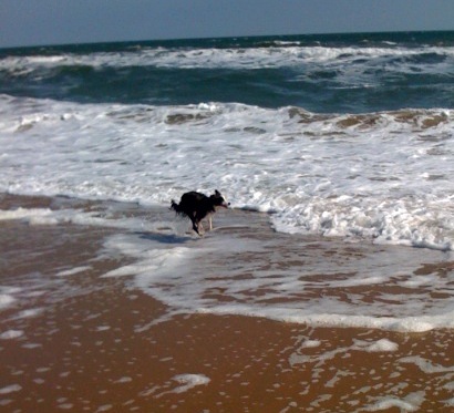 Luka running on Virginia Beach