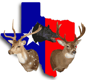 Texas Hunting Outfitter and Lodges